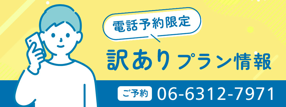 訳アリプラン